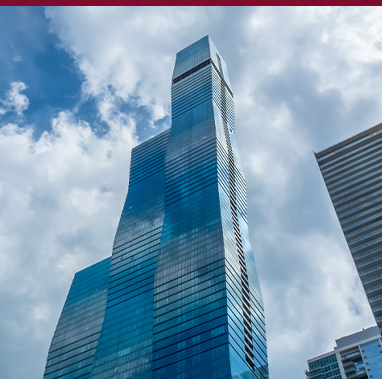 <h3>Wanda Vista</h3>
<p>Chicago, IL</p>